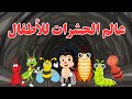 عالم الحشرات للأطفال Insect Nams For Kids تعليم أسماء الحشرات للأطفال بالعربية رحلة ممتعة فالطبيعة 