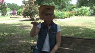 Charlotte's Web - Chapter 12