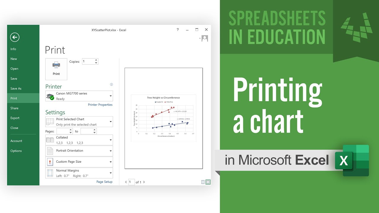 How To Print Chart From Excel