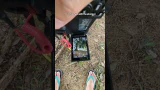 Exploring The Creative Possibilities With Nikons Incamera Picture Controls