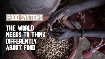 Food Systems: the way we produce, distribute, and consume food touches every aspect of our lives.