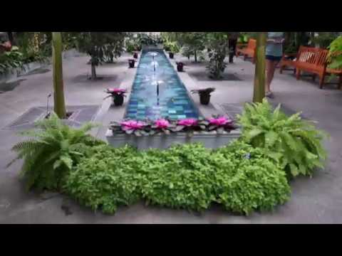 4k Walking Tour Of The United States Botanic Garden In Washington