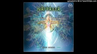 Divine DNA