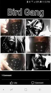 Sparrow-Rebellion mixtape