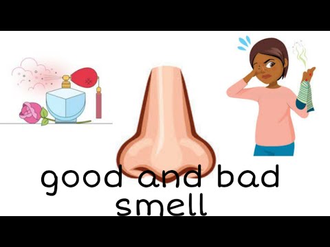 good and bad smell / teacher love