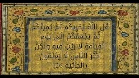 اواخر سورة الجاثية | القارئ هشام مهران | #تلاوة_هادئة