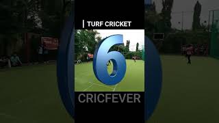 Cricfever 12 Turf Cricket Manish Yadav