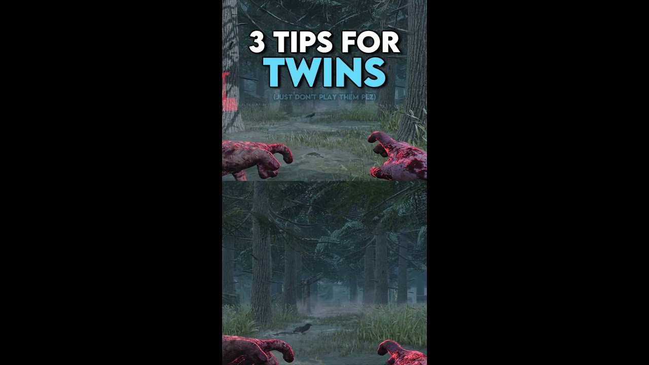 3 Tips For TWINS