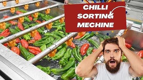 G4 Green Chilli packing Mechine| Chilli Sorting Mechine | Mirchi sorting Mechine |Exporters Choice |