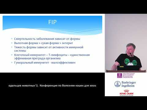 Пака М. В. - Инфекционный перитонит кошек [часть информации устарела, FIP теперь излечим]