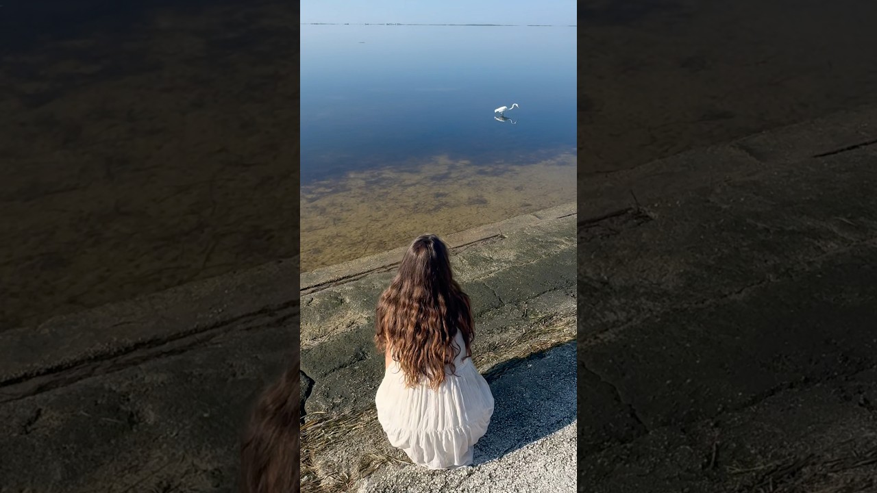 Egret Strikes with Precision 