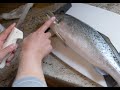 How to Fillet Speckled Trout