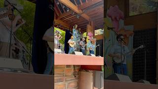 Off the rails at RockyGrassFest 2025 #bluegrass #jamband #livemusic #bluegrassband #jamgrass