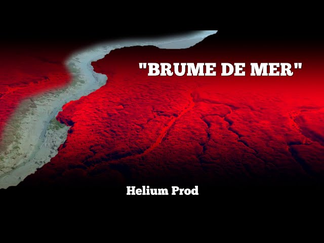 "BRUME DE MER" (Saint Brieuc, Côtes-d'Armor) - 2022