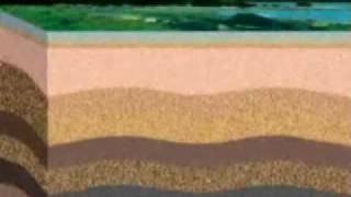 Overview Chapter 2 part 3 Petroleum Origins