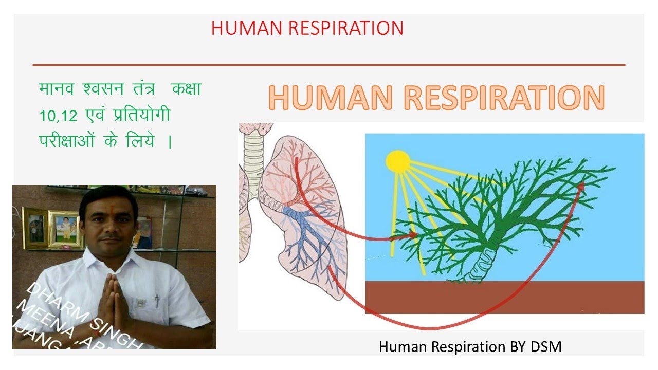श्वशन तंत्र ( Respiratory System) in Hindi By D.S Ghunawat Class 10