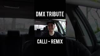 DMX Tribute By Calli Rap #Shorts