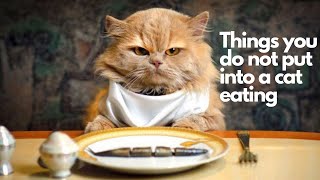 5 Things you do not put into a cat eating by Cat Lovers 6,497 views 3 years ago 1 minute, 32 seconds