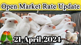 Open Market Rate Today l Lalukhet Birds Market 21 April 24 l V No 282 Sur Birds Channel