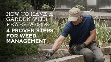 How to Have a Garden With Fewer Weeds | 4 Proven Steps for Weed Management