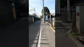 Midweek Tokyo stroll ☀️🚶♂️ Hump day walk! How's your week going? Time + country? 👇