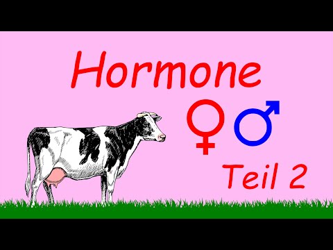 Video: Welche Hormone sind bei Nutztieren für die Brunst verantwortlich?