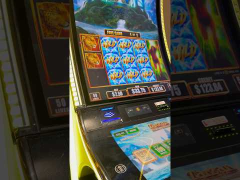 $0 IN MIAMI CASINO.