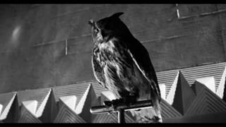 Sevnseal - Dr Tyrell&#39;s Owls &amp; Walls (Bladerunner Foley Incarnation Version)
