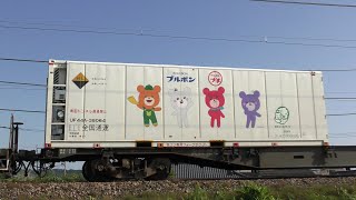 EF510-511牽引高速貨物【4K】信越本線下り3097レ