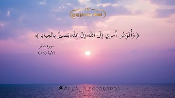 سورة غافر الآية 44