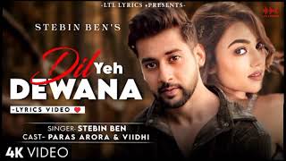 Dil Yeh Dewana Stebin Benft Paras Arora U0026viidhi