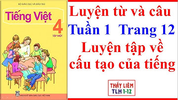 Tiếng Việt Lớp 4 Luyện Từ Và Câu | Tuần 1 | Luyện Tập Về Cấu Tạo Của Tiếng | Trang 12
