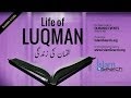 luqman