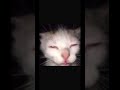 Random vid part 1