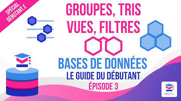 Vues, groupes, tris, filtres visualiser efficacement les données