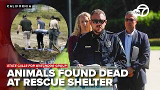 Could Miranda’s Rescue lead to new statewide oversight of animal rescues?