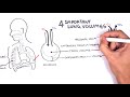 Lung Function - Lung Volumes and Capacities