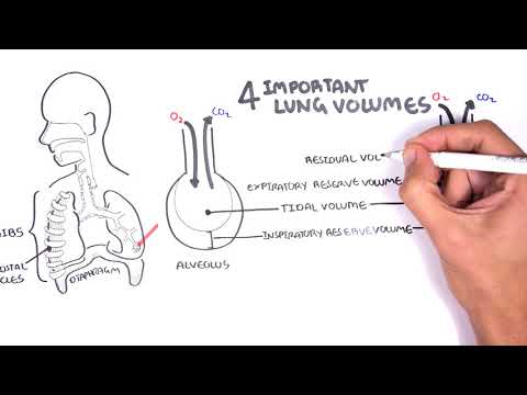 Video: Atlikušā plaušu tilpuma mērīšana: 6 soļi (ar attēliem)