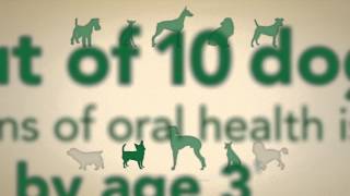 The Ins and Outs of GREENIES® Dental Chews