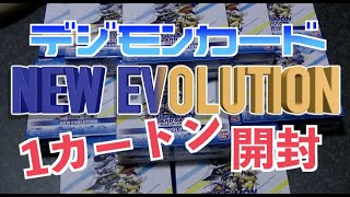 デジモンカードゲーム「NEW EVOLUTION」1カートン開封