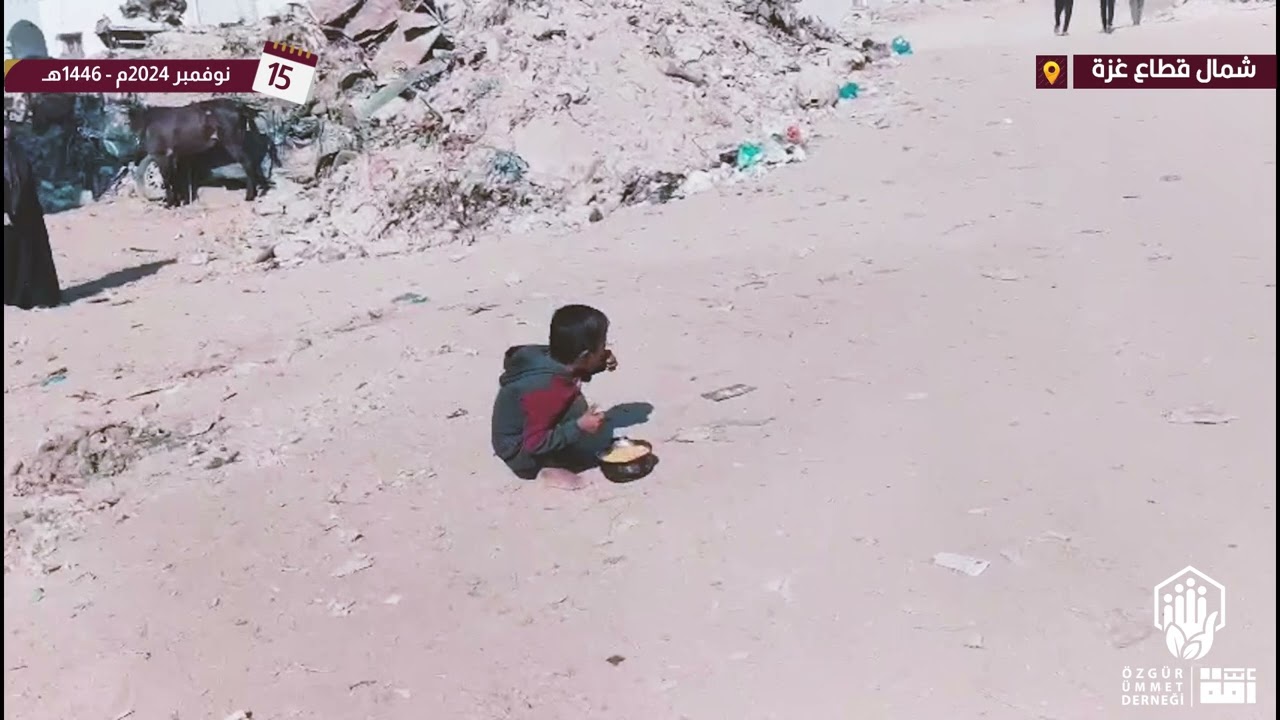 🥘إطعام 15/11/2024 🇵🇸شمال قطاع غز/ة. 
