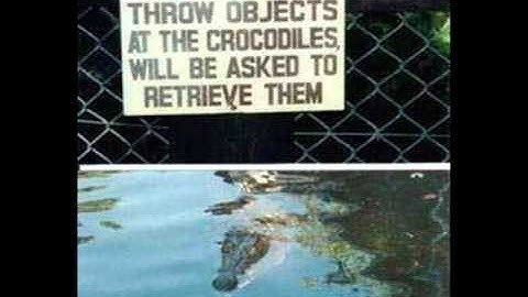 Microsoft Sam Reads Stupid and Weird signs 2