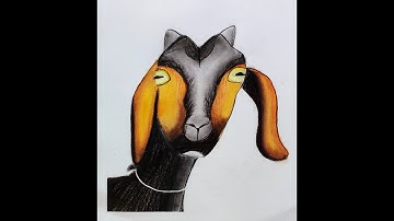 How to Draw a Goat Outline Drawing: Easy Step by Step Goat Sketch For Beginners to Follow