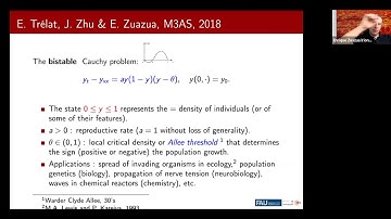 Enrique Zuazua: Reaction-diffusion in Social and Biological Sciences: Dynamics and ResNet control