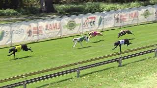 Capalaba-11102026-Race-1