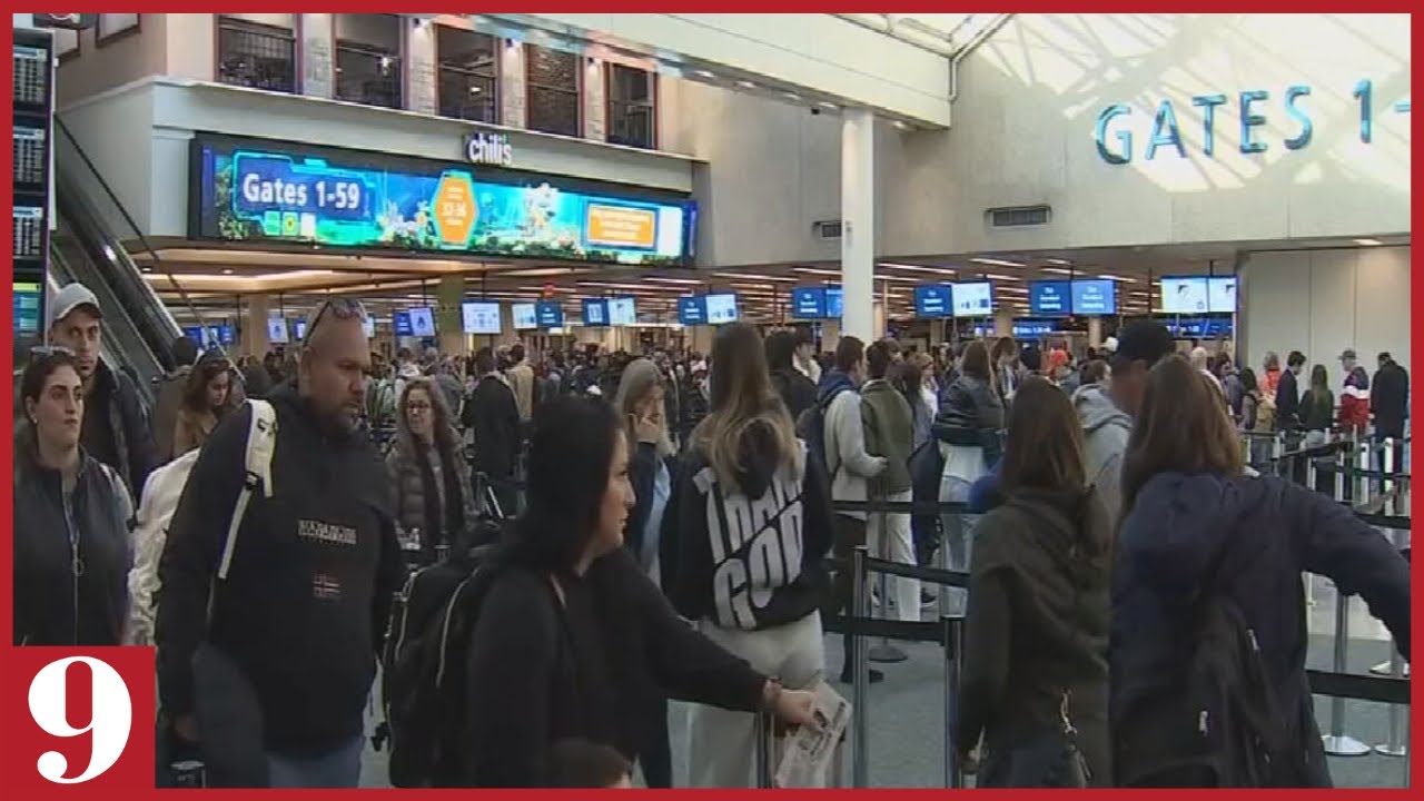 Woman accused of drowning dog in Orlando airport bathroom - YouTube