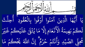 سورة المائدة مكتوبة كاملة بخلفية زرقاء بالخط العثماني بدون صوت