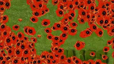 SCATTERED TULIPS - EyeClick Interactive Games Library 2025