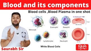 Blood and its components|| Circulatory system in Hindi|| Nursing, NEET