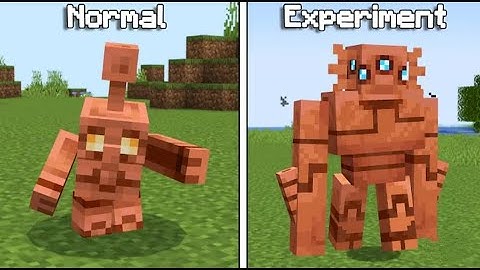 Only 0 01% of Players Know This Minecraft Trick!🔥